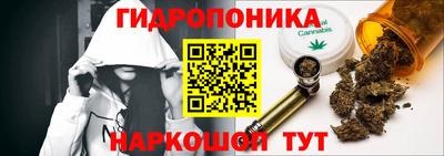 СК Кимры